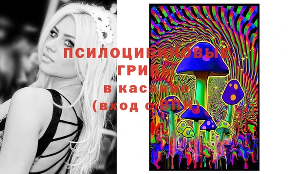 стаф Балахна