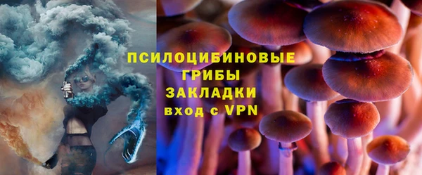 стаф Балахна