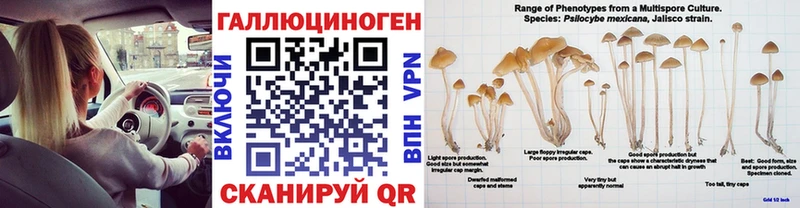 наркотики  Кодинск  Галлюциногенные грибы MAGIC MUSHROOMS 